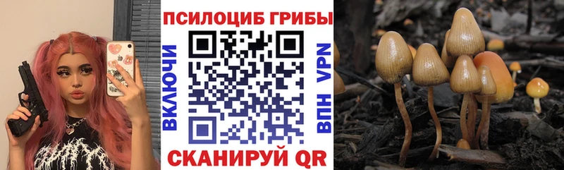 Псилоцибиновые грибы Magic Shrooms  Егорьевск 